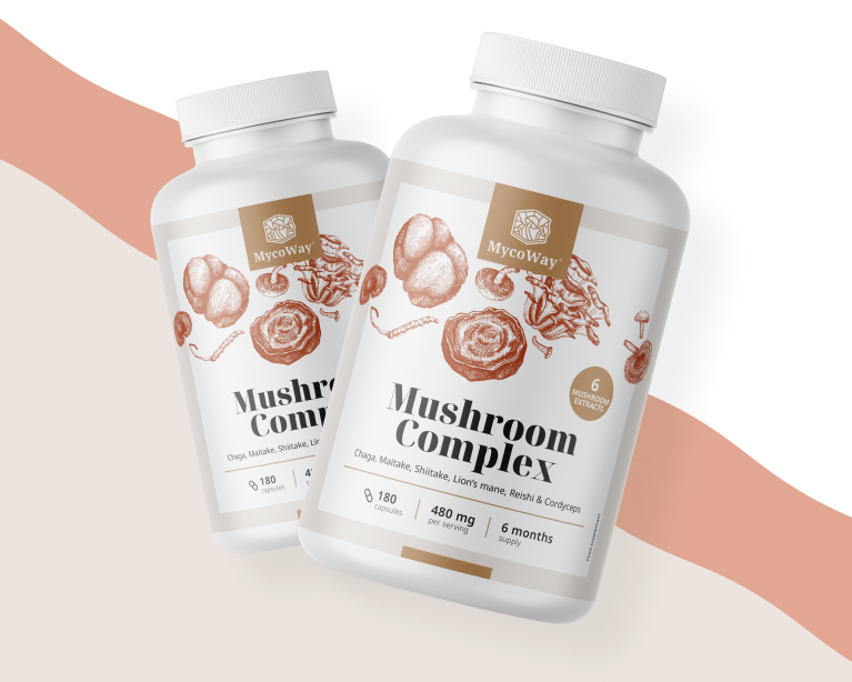 6 funghi asiatici accuratamente selezionati.