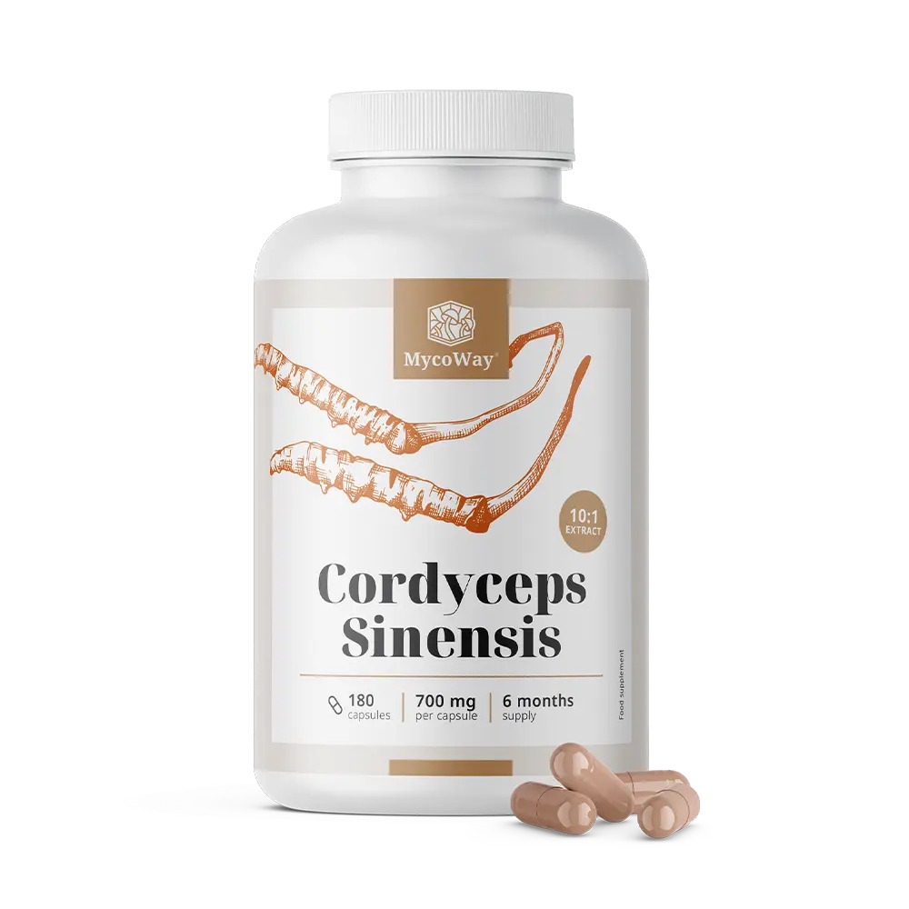 Cordyceps sinensis 1400 mg - estratto 10:1.