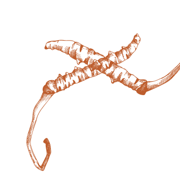 Potenzia la tua routine quotidiana