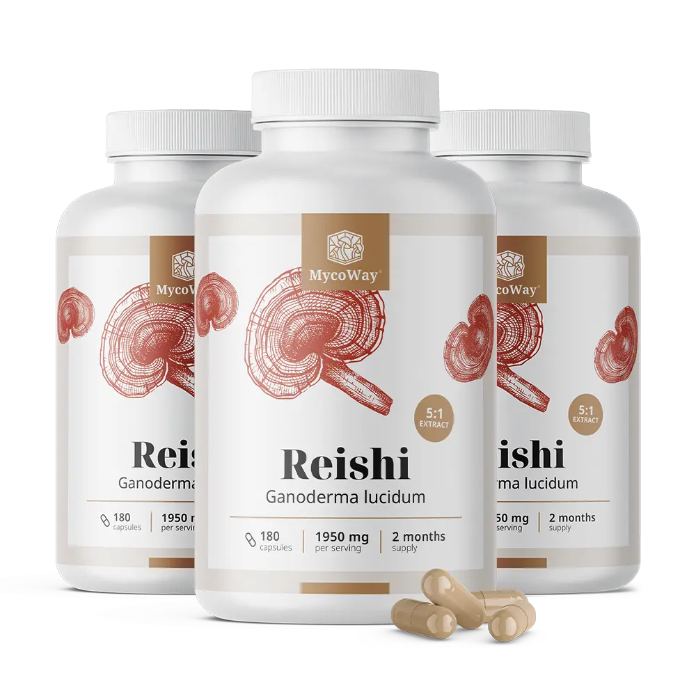 Reishi 1950 mg - estratto 5:1.