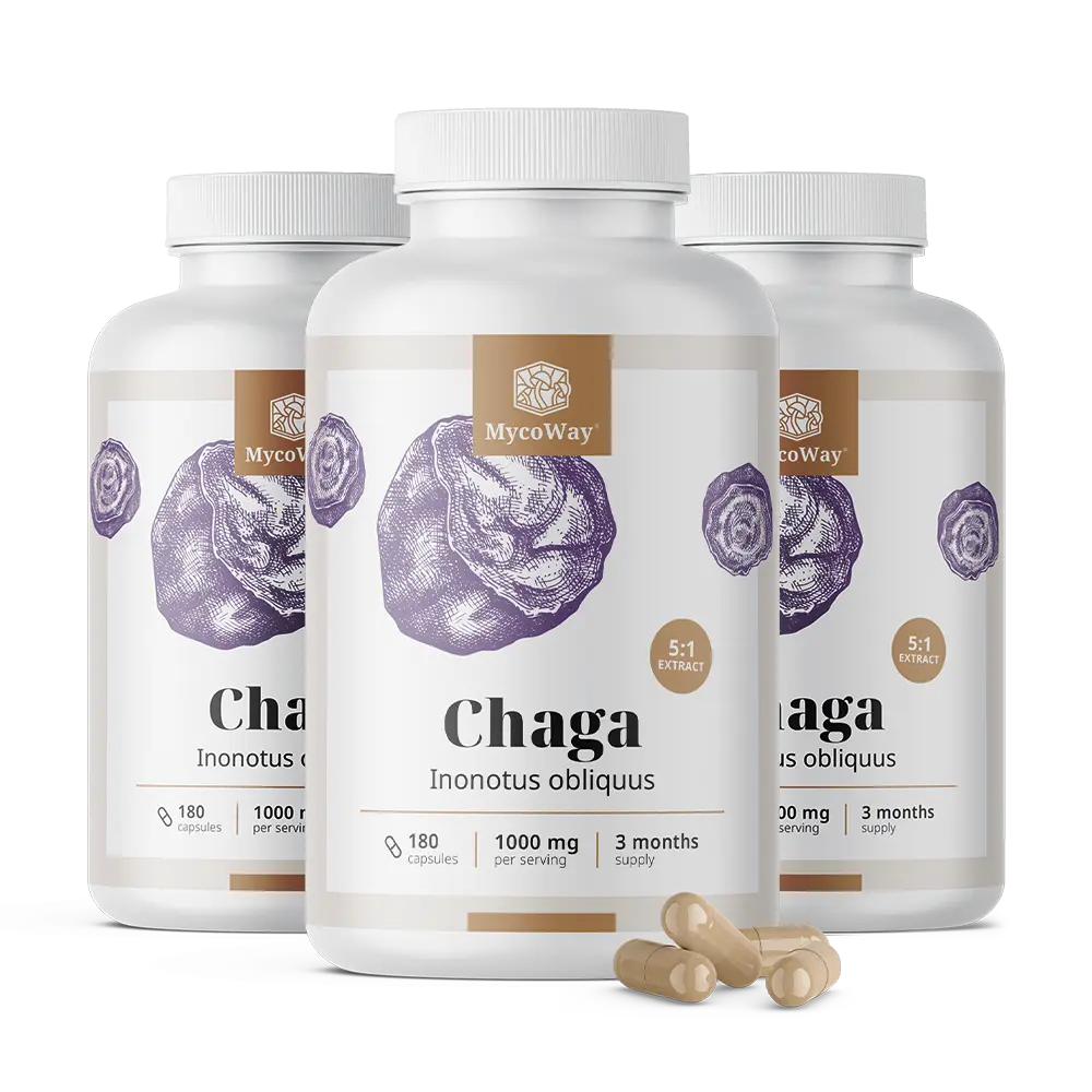 Chaga 1000 mg - estratto 5:1.