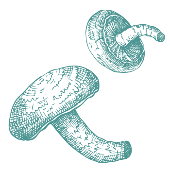 Supporta il tuo corpo