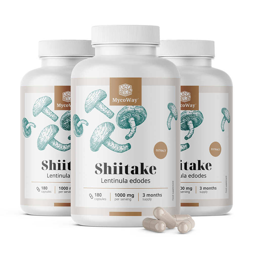 Shiitake 1000 mg - estratto.