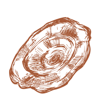 Fai un passo verso vitalità e forza