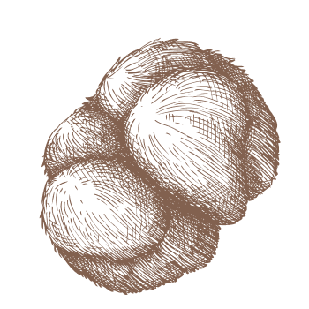 Aumenta la tua acuità mentale