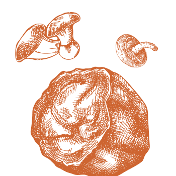 Ristabilisci l'equilibrio nel corpo