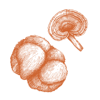 Potenza ed energia dalla natura