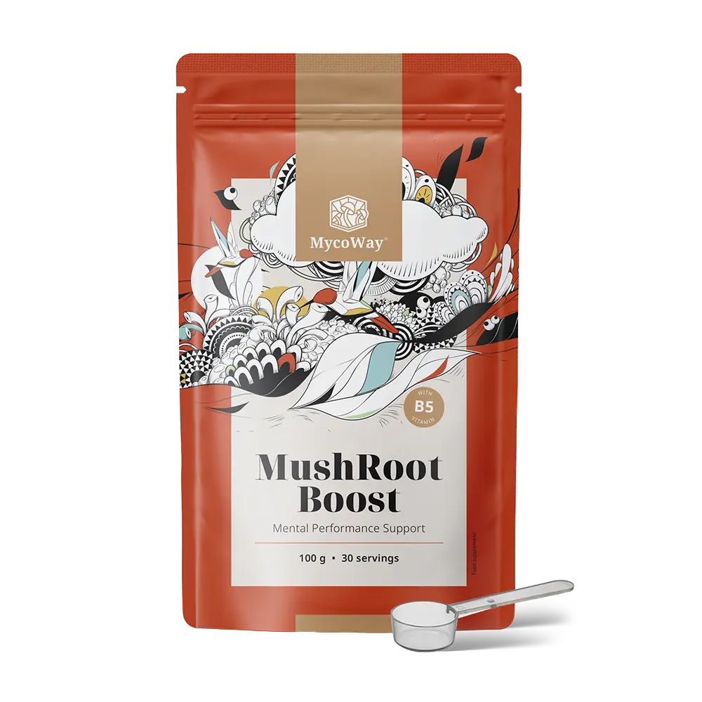 MushRoot Boost - bevanda per la performance mentale.