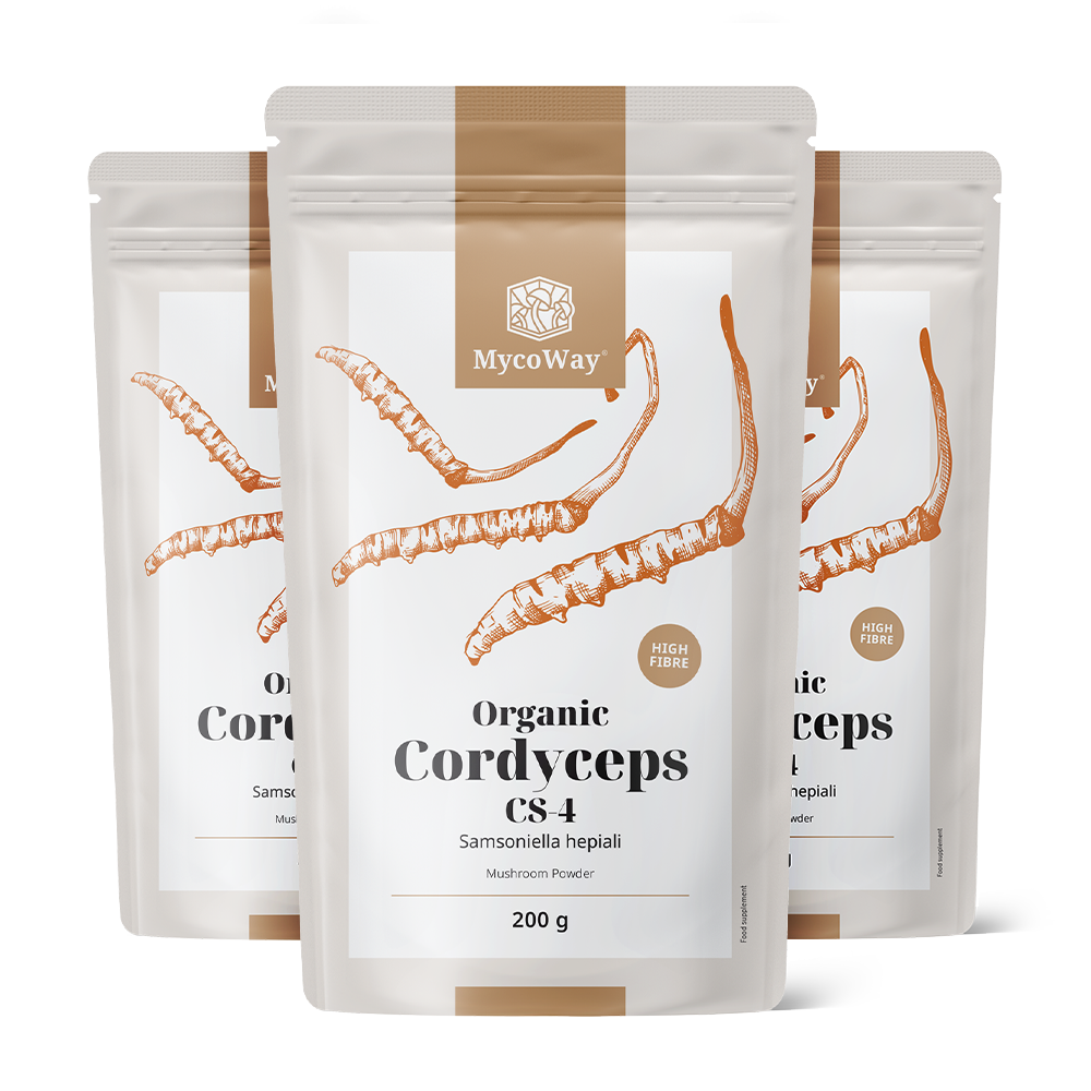 BIO Cordyceps in polvere