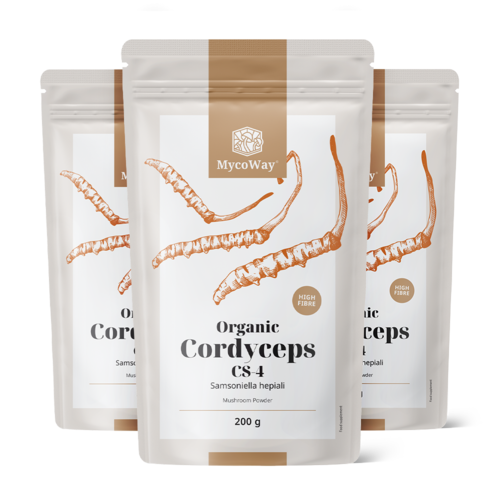 3x BIO Cordyceps CS-4 in polvere, totale 600 g