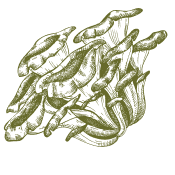 Prenditi cura del tuo corpo con i doni offerti dalla natura.