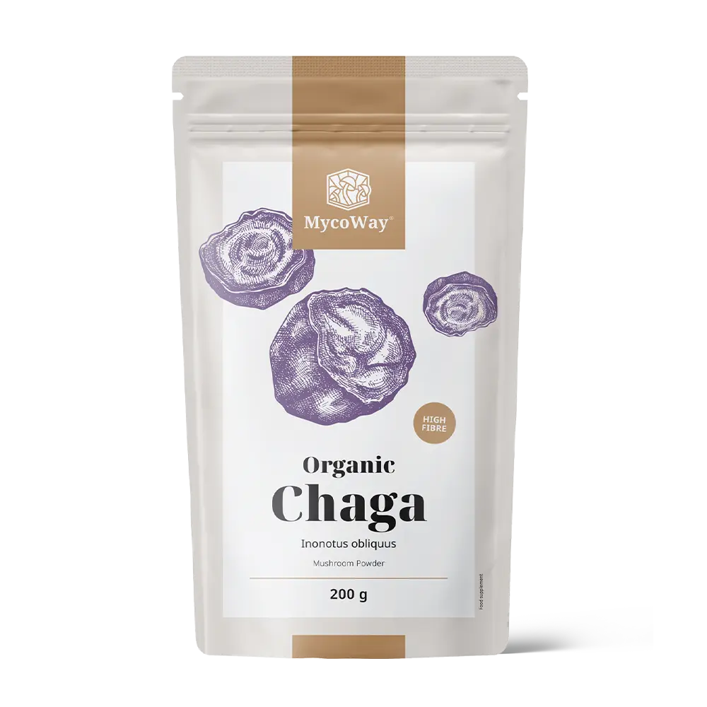 BIO Chaga in polvere.