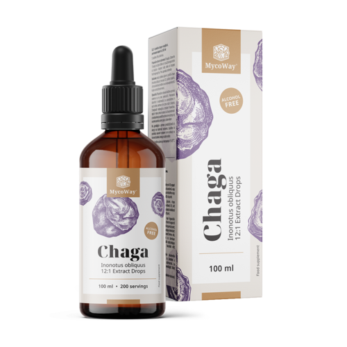 Chaga – estratto in gocce, 100 ml