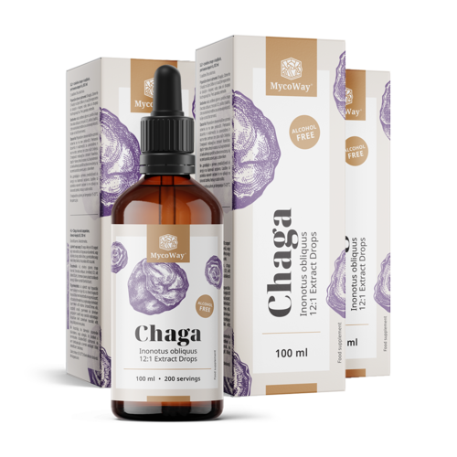 3x Chaga – estratto in gocce, totale 300 ml