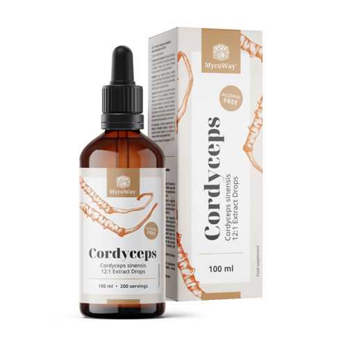 Cordyceps – estratto in gocce, 100 ml